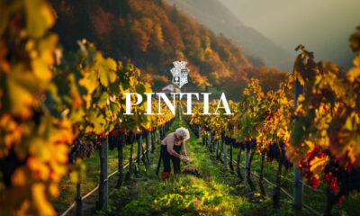 Wineries Pintia Premium Tempranillo from Toro