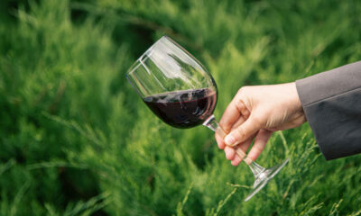 What Is Tempranillo Wine? Complete Guide