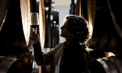 Top 10 Spanish Wines You Must Try in 2026