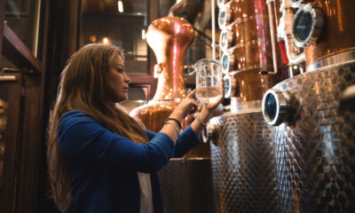 Discover Toro Wine Region Vineyards and Scenic Trails