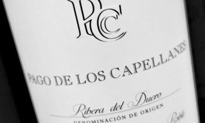 Best Spanish red wines under €20 worth buying
