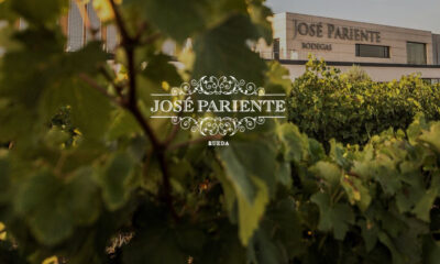 José Pariente Fresh Aromatic Verdejos from Rueda Wines