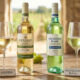 Verdejo vs Sauvignon Blanc comparison guide