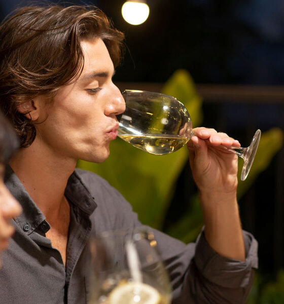 Rueda The Kingdom of Verdejo