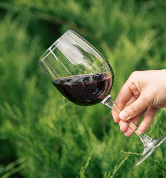What Is Tempranillo Wine? Complete Guide