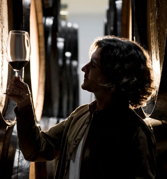 Top 10 Spanish Wines You Must Try in 2026